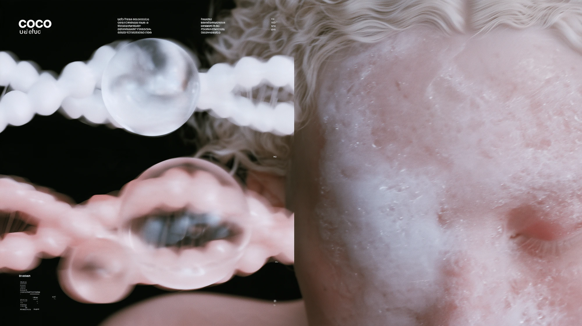 Coco Paris — brand world, visual 05